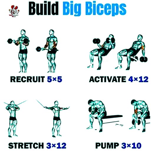 Build Big Biceps📷📷📷
#ziscart #gymmotivation #gymrat #fitnessmotivation #aesthetic #mensphysique #discipline #fyp #consistency #gymlifestyle #bodybuilding #explore #motivation #inspiration #explorepage #fypシ #gymbro