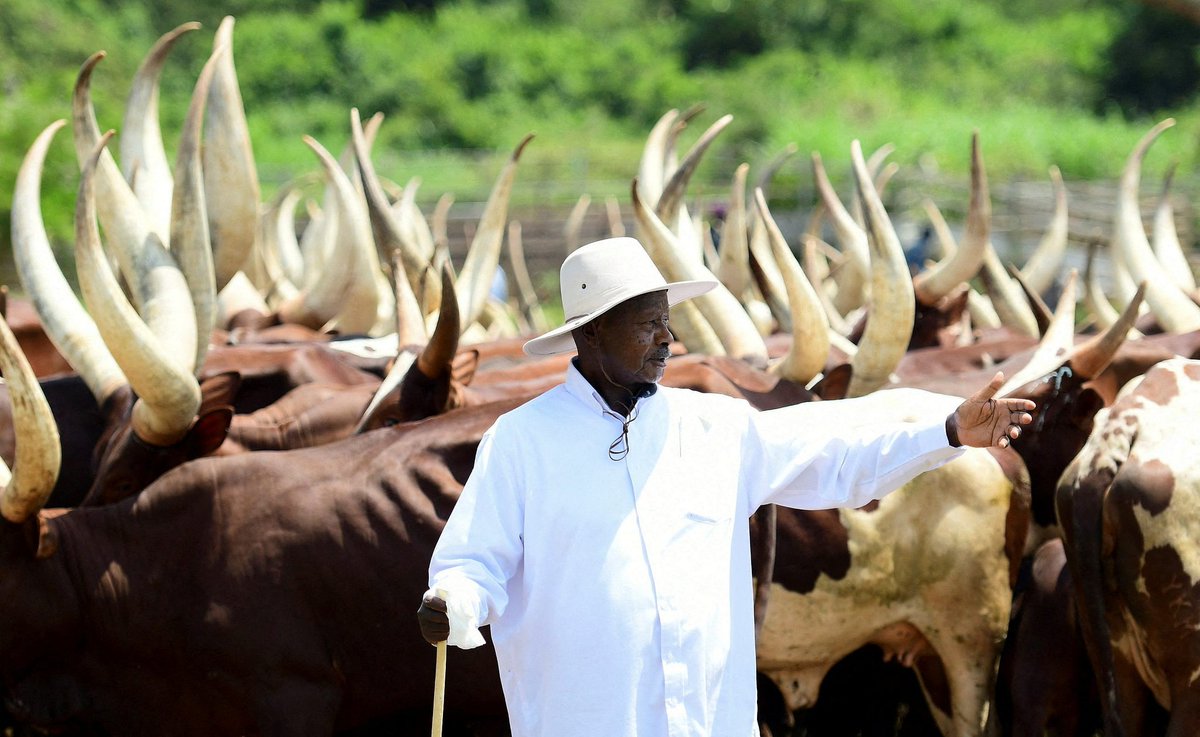 President <a href="/KagutaMuseveni/">Yoweri K Museveni</a> has a profound love for agriculture and loves to show it off at any given occasion. He is a firm believer in the potential of commercial  agriculture as a tool to uplift household incomes. He's the best choice of a chief guest this year!
#AgricShow25