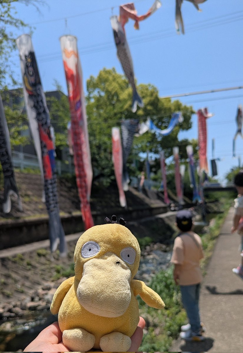 こどものひ、ぐわー!!
しゅやくのおにいさん、カブトにあっててかっこいいぐわ〜!!🐣
#コダック