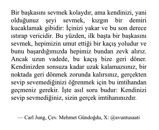 Psikiyatr Carl Jung’un kendini sevmek üzerine yazdığı muhteşem bir pasajı Türkçeye çevirmiştim. Yeniden paylaşıyorum. İyi okumalar.