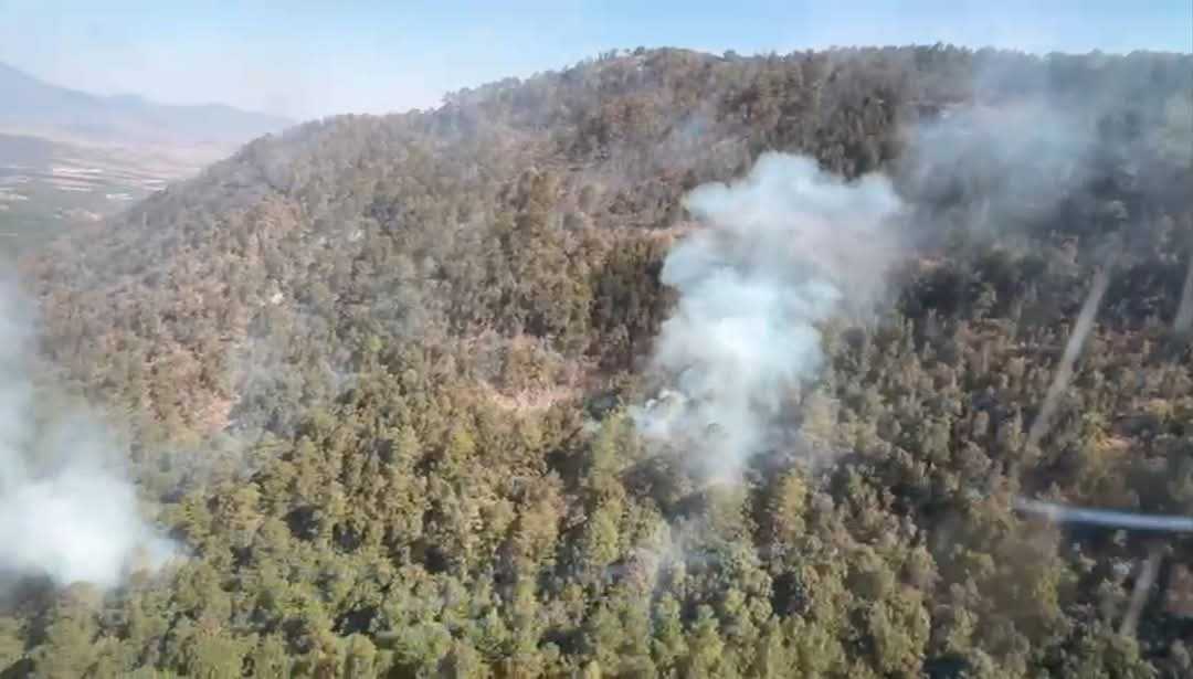 AztecaNoticias's tweet photo. #ReservaMonarca | El 95% del incendio en la reserva de la mariposa Monarca en Senguio, #Michoacán está controlado. 🚒🦋 https://t.co/w8KfPBV23M