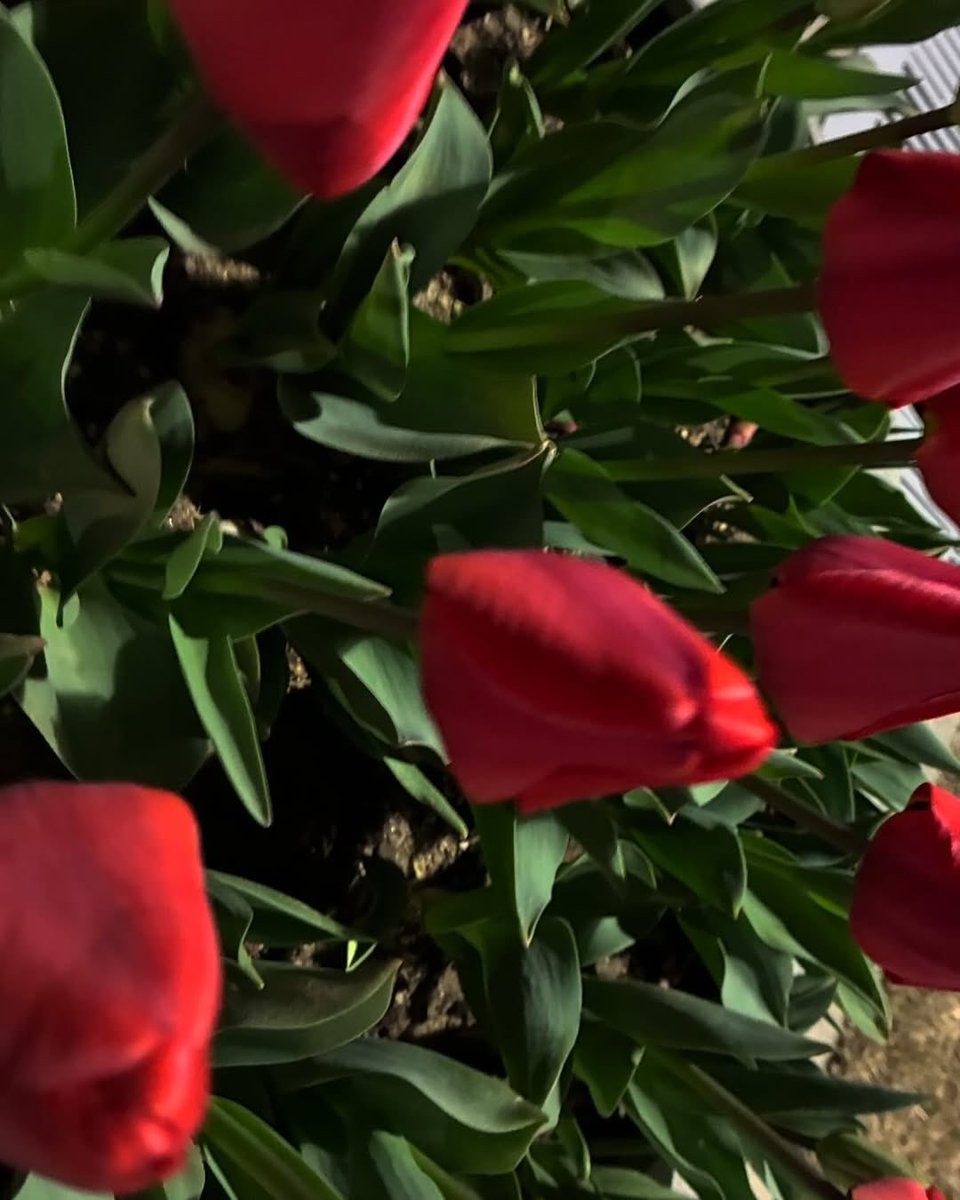 바나나창민 (@changmtin) on Twitter photo 