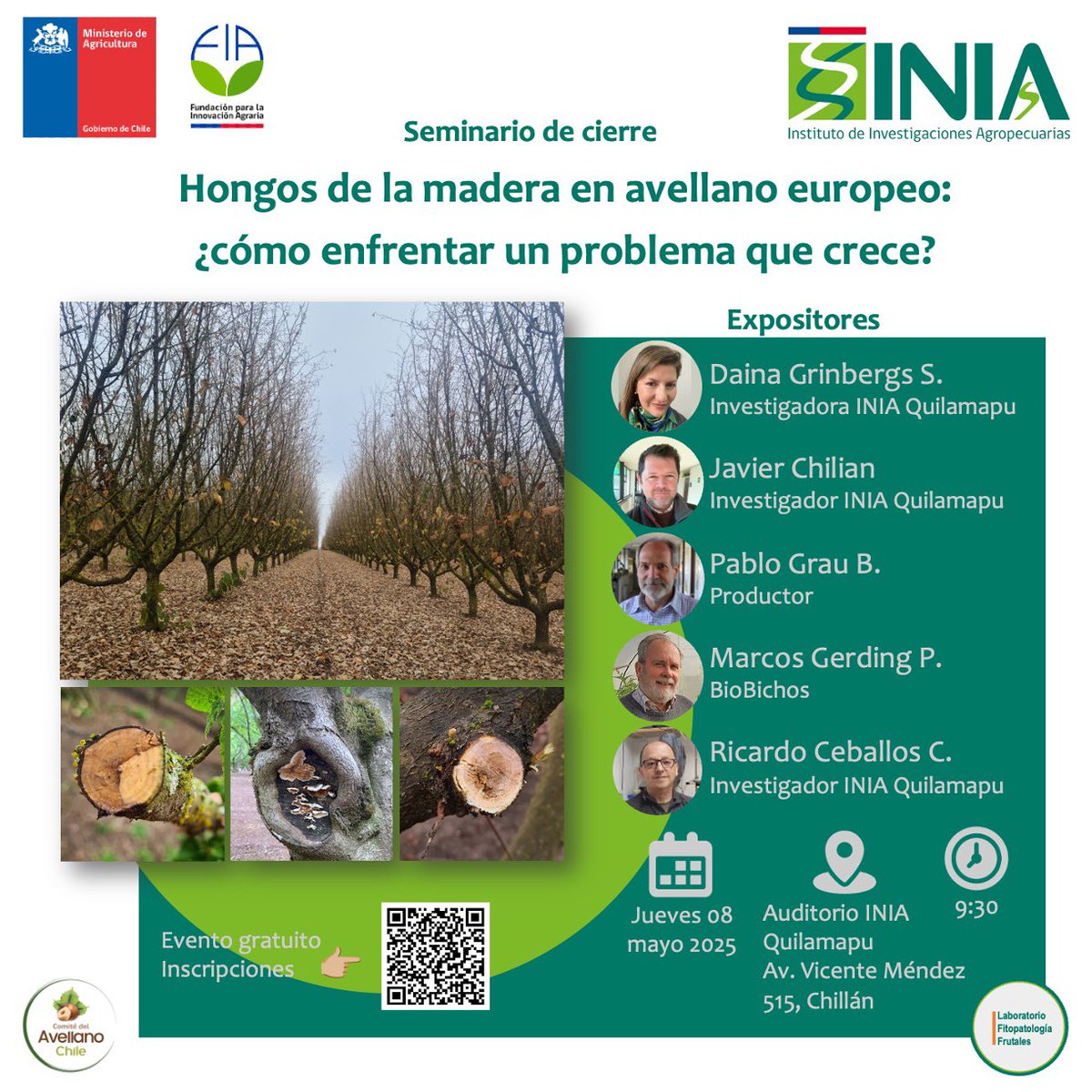 Los invitamos al seminario “Hongos de Madera en Avellano Europeo: Como enfrentar un problema que crece? 8 de mayo a las 9:30 en el auditorio de INIA Quilamapu. INSCRIPCIONES 👉🏻 n9.cl/na80t