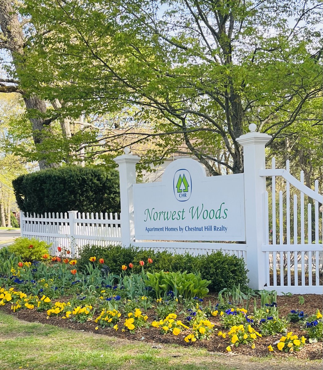 Norwest Woods tweet media