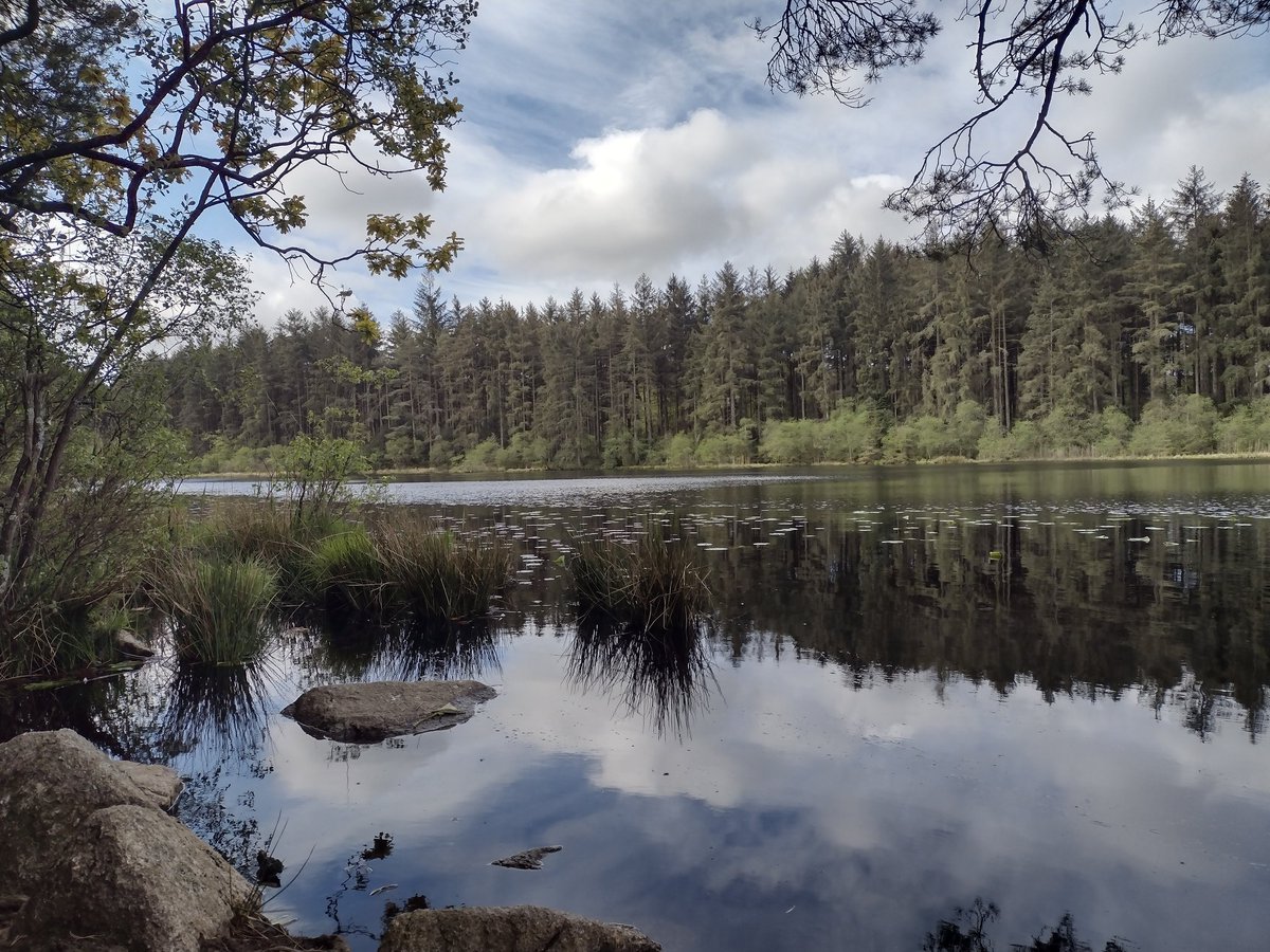 Synchronicity in nature and numbers on my early morning run 💜  5 miles, in 55 minutes, on the 5th May 💚 20 days till Edinburgh Marathon 2025 🔴 LIVE Still time for me to train 🏃‍♀️, and you to donate justgiving.com/page/wendy-cha… Thank you 💜🏃‍♀️💚