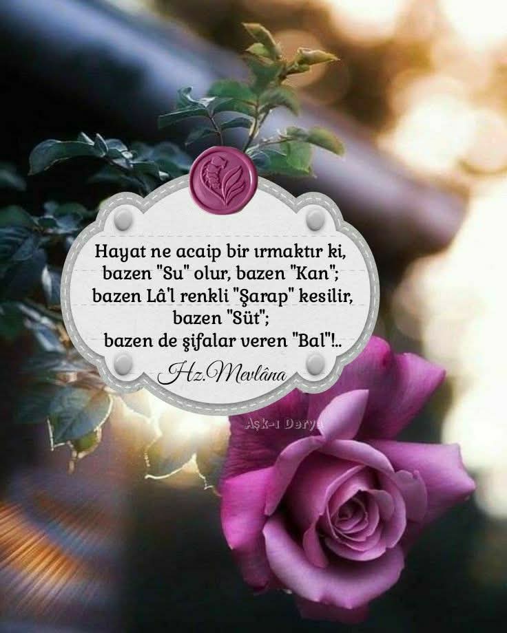 Tuba batur.. 🪻🌹 (@tuba68804) on Twitter photo 