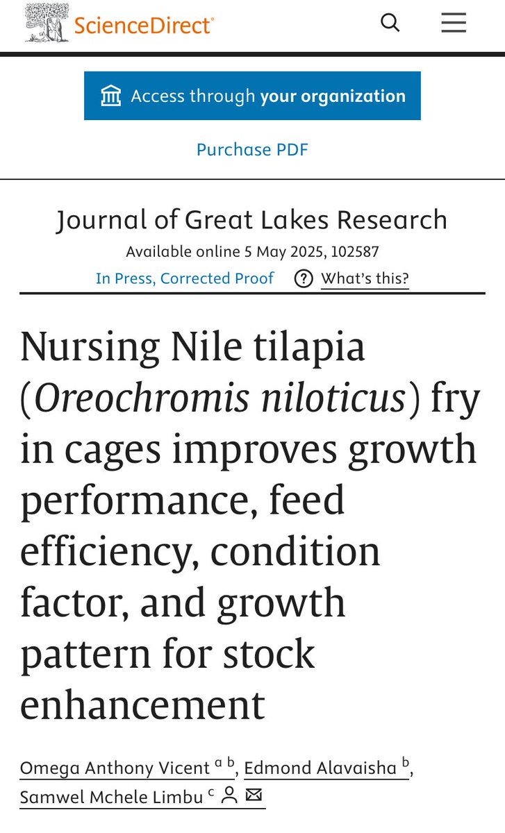 Mchele Limbu tweet media