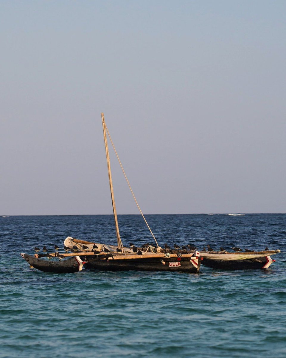Plans? Cancelled. Peace? Found.
It’s the little things — the breeze, the stillness, the slow sips.
When they call?
Just say: “Plans are cancelled. I found something better. 

#ZubeidaMoments #SoftLifeSeason #CoastalKenya #DianiDreaming #MagicalKenya