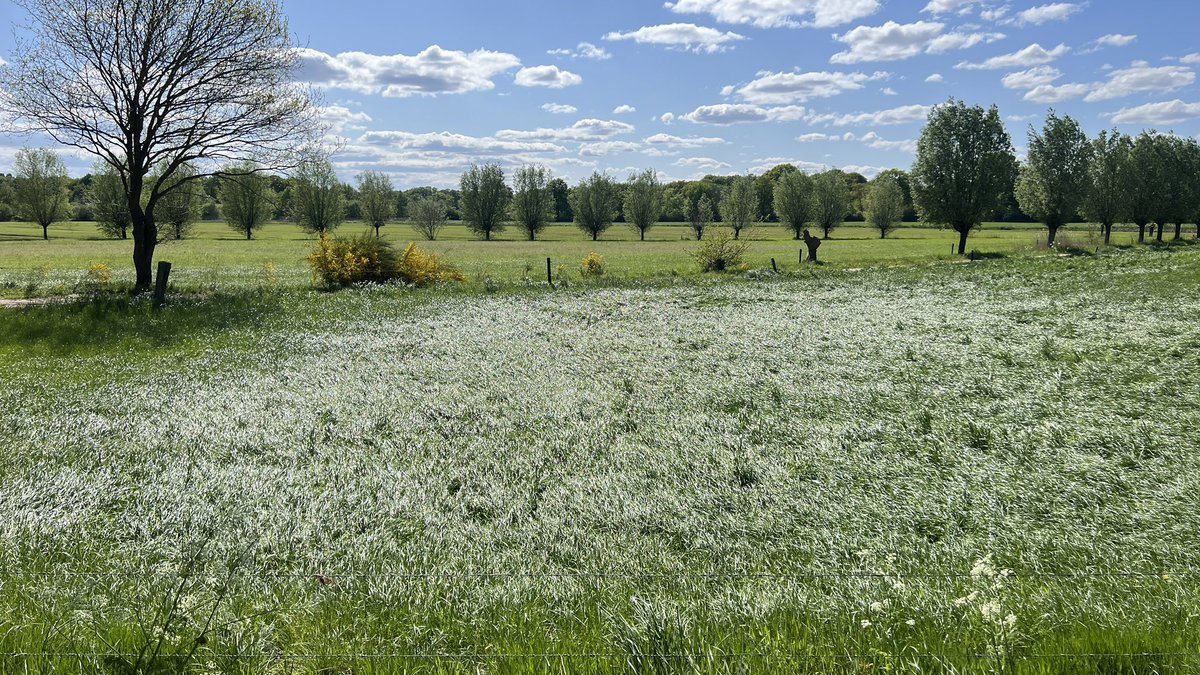 NONPAINTSTORE tweet media