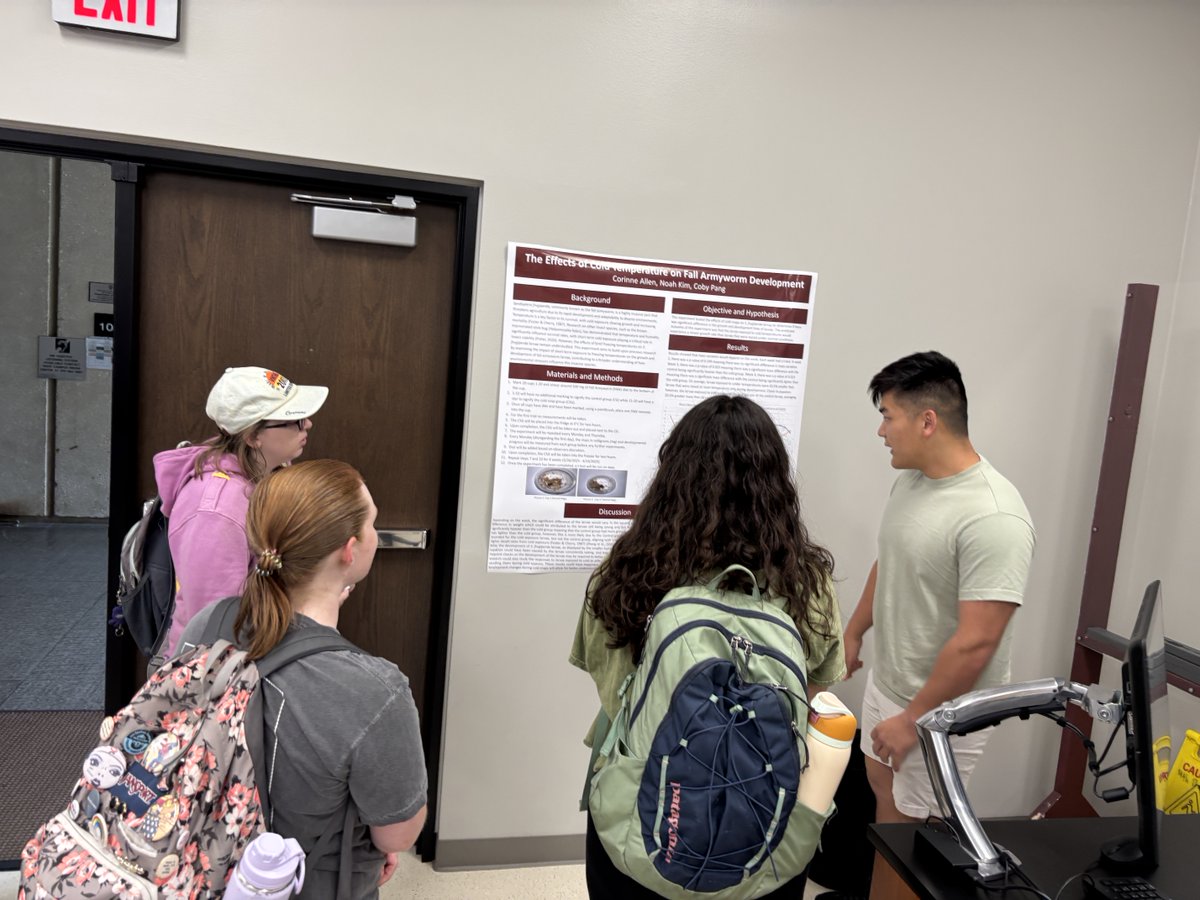 tamuentomology's tweet image. On Monday, May 28, ENTO 424 Insect Ecology Course students hosted a poster session to share the findings from their course research projects. It was open to the public and we had a great turnout of faculty, staff, and students who came to learn about the students’ research.