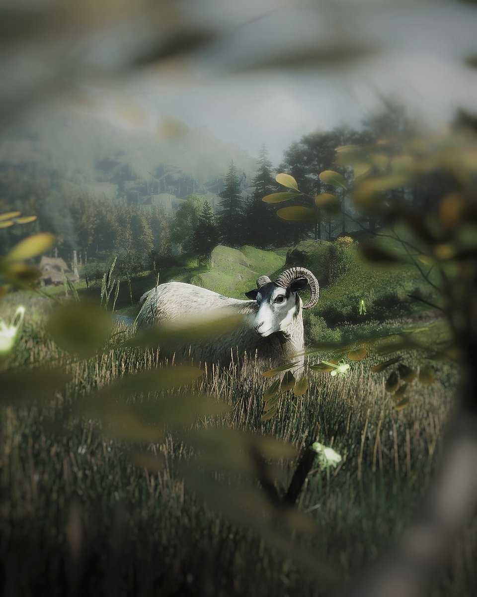 AggzGaming's tweet image. 🎮: Hogwarts Legacy
@HogwartsLegacy #CaptureTheUnwritten #VirtualPhotography