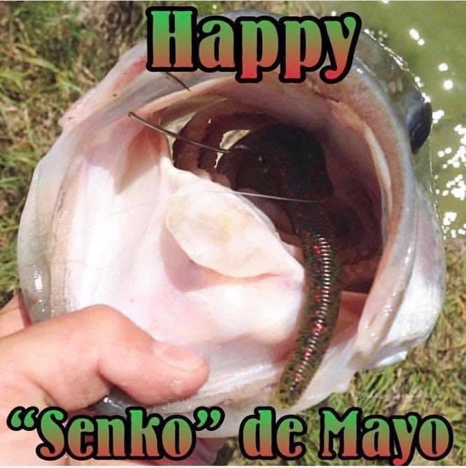 Weekend Warriorz (@warriorzweekend) on Twitter photo 