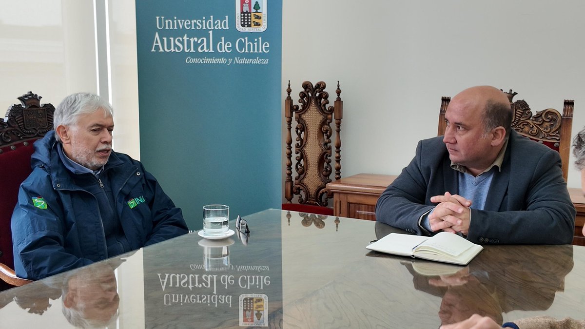 Universidad Austral de Chile (@uaustraldechile) on Twitter photo El director nacional de INIA, Carlos Furche se reunió con el Rector de la UACh, José Dörner para dialogar sobre posibilidades de cooperación conjunto en áreas de investigación común.
Estuvo presente el director regional de INIA Remehue, Manuel Muñoz.
<a href="/iniachile/">INIA Chile</a> El director nacional de INIA, Carlos Furche se reunió con el Rector de la UACh, José Dörner para dialogar sobre posibilidades de cooperación conjunto en áreas de investigación común.
Estuvo presente el director regional de INIA Remehue, Manuel Muñoz.
<a href="/iniachile/">INIA Chile</a>