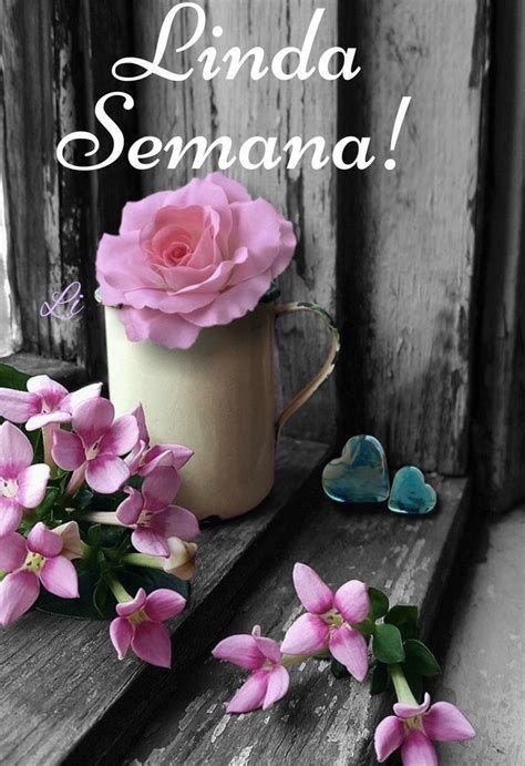<a href="/leticia250566/">Mayra Leticia</a> <a href="/LilaSzwed91/">Lila Szwed 🇵🇾</a> <a href="/ACaro_Ayala/">Carolina Ayala</a> <a href="/Carmenlop20/">Carmen Lopez</a> <a href="/CynthiaCuenca2/">Cynthia Cuenca 🇵🇾</a> <a href="/Roberto78801369/">Roberto Espinola</a> <a href="/Ida_Aurora/">Ida 💖🌷💁🏻‍♀️☕🍰🌷💖</a> <a href="/katr_elena/">Elena.katr.</a> <a href="/SerranoLandy/">🌻 𝑹𝒊𝒄𝒊𝒕𝒐𝒔 𝒅𝒆 𝑶𝒓𝒐🌻</a> <a href="/hlt101660/">Héctor López</a> <a href="/Mariita9147/">HULDA</a> <a href="/Elias1495330979/">Elias aleman</a> <a href="/MartinezG9382/">Mario Edwin Martinez Garcia</a> <a href="/NectarMontesino/">Ing Néctar Augusto ⚖</a> <a href="/NectarAugusto/">Ing Néctar Augusto ⚖</a> <a href="/XeniaGonzalez7/">Xenia Gonzalez</a> Amén ♥️