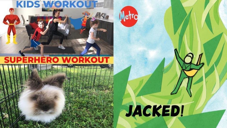 Hancock Place Elementary School tweet media