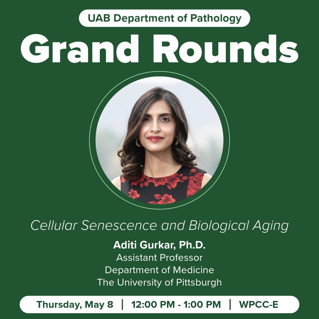 UAB Pathology (@uabpathology) on Twitter photo Join us Thursday, May 8 for UAB Pathology Grand Rounds ft. <a href="/healthspan_AUG/">Aditi Gurkar</a>, Assistant Professor, <a href="/PittDeptofMed/">PittDeptofMed</a>, <a href="/PittTweet/">University of Pittsburgh</a>, for "Cellular Senescence and Biological Aging." Register here: bit.ly/4iLX4Cq Join us Thursday, May 8 for UAB Pathology Grand Rounds ft. <a href="/healthspan_AUG/">Aditi Gurkar</a>, Assistant Professor, <a href="/PittDeptofMed/">PittDeptofMed</a>, <a href="/PittTweet/">University of Pittsburgh</a>, for "Cellular Senescence and Biological Aging." Register here: bit.ly/4iLX4Cq