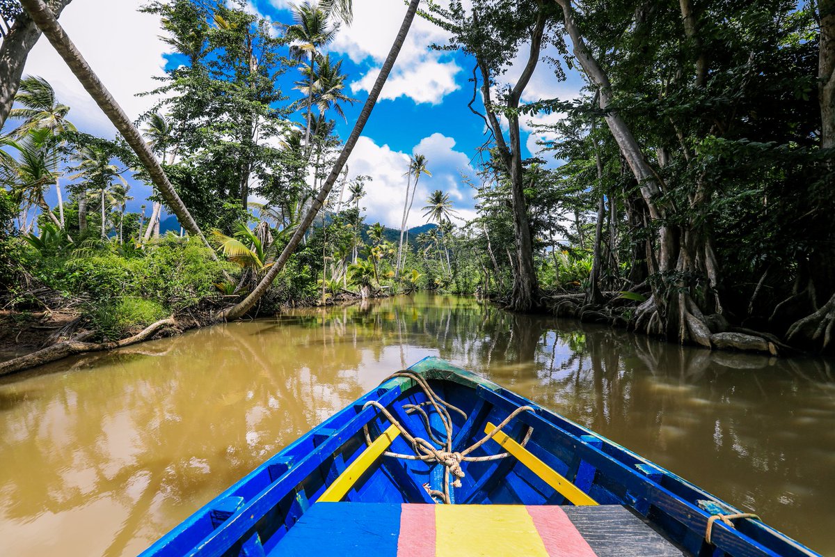 UN Special Procedures (@un_spexperts) on Twitter photo UN Special Rapporteur on climate change <a href="/SRclimatechange/">SR human rights & climate change, Elisa Morgera</a> will visit #Dominica 🇩🇲 from 7 to 14 May 2025.
ohchr.org/en/media-advis… UN Special Rapporteur on climate change <a href="/SRclimatechange/">SR human rights & climate change, Elisa Morgera</a> will visit #Dominica 🇩🇲 from 7 to 14 May 2025.
ohchr.org/en/media-advis…