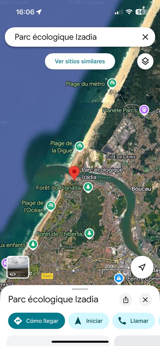 NilNoTeEscapas tweet media