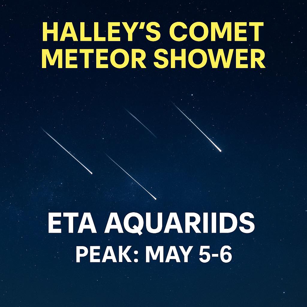 Brantly Scott tweet media