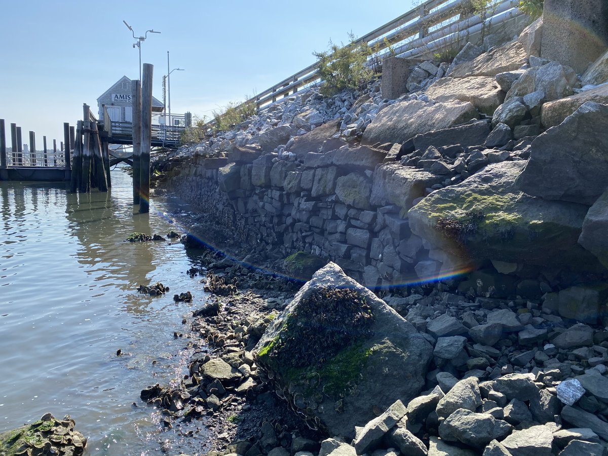 New Haven Preservation Trust tweet media