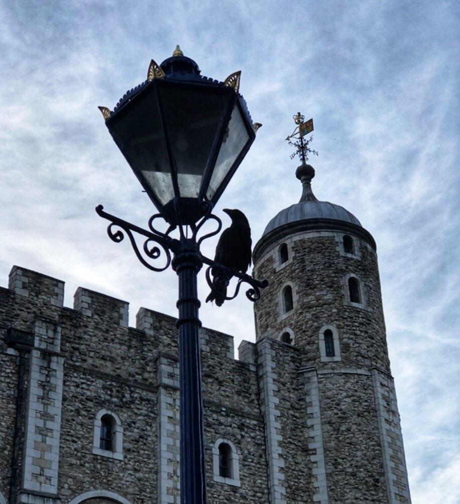SammyJoAstro's tweet photo. Day 5 #histficmay my setting is the #toweroflondon in the 13th century. Nearly a 1000 years of history within its walls - if only they could tell their tales....#towerofvengeance pulls down walls and builds new ones to create the #medieval tower. #mysetting #historicalfiction https://t.co/xW8Cropao1