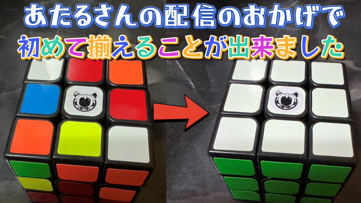 親子でエンジョイフォトナ tweet media