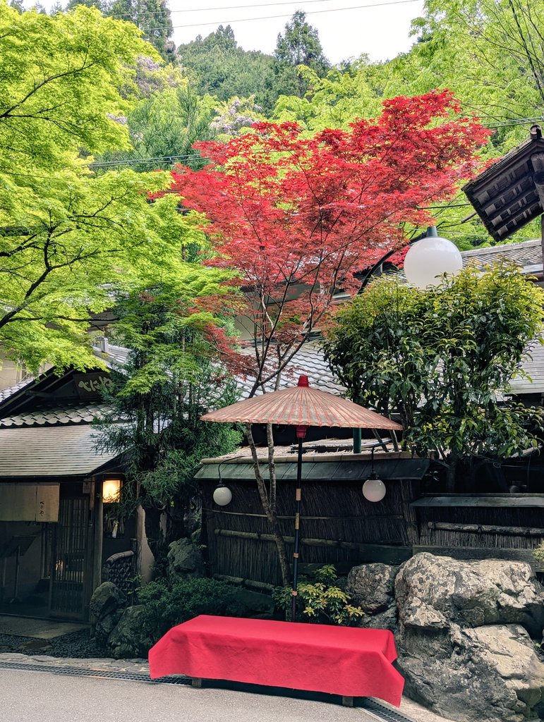 EyRdSdZphi2ZvFr's tweet image. 久しぶりに貴船神社⛩️に行ってきました😀いいお天気で、新緑と川のせせらぎに癒されました🌈奥宮のエネルギーは、最高です✨