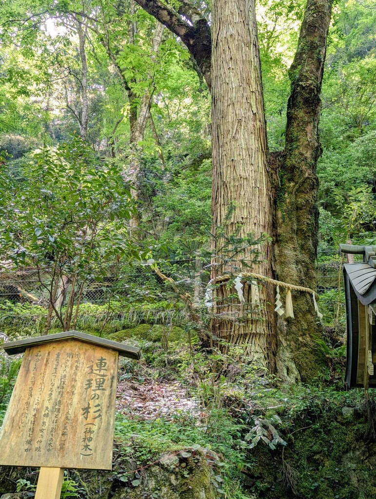 EyRdSdZphi2ZvFr's tweet image. 久しぶりに貴船神社⛩️に行ってきました😀いいお天気で、新緑と川のせせらぎに癒されました🌈奥宮のエネルギーは、最高です✨