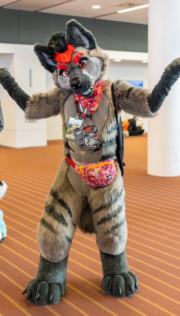 ❤️ CORVO 🖤 tweet media