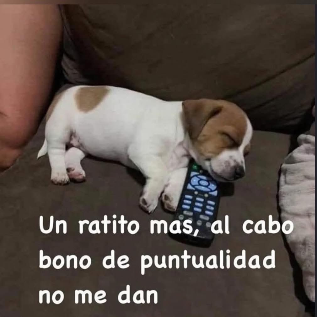 RORISTE's tweet image. Días  😃🌞