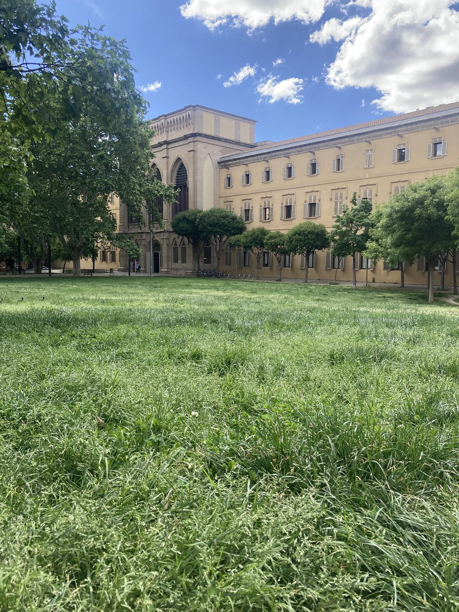 Quan la gespa de la <a href="/UdL_info/">Universitat de Lleida (UdL)</a> sembla la de la <a href="/UABBarcelona/">Universitat Autònoma de Barcelona</a> #LleidaAutonomaConnection 🫶🏻