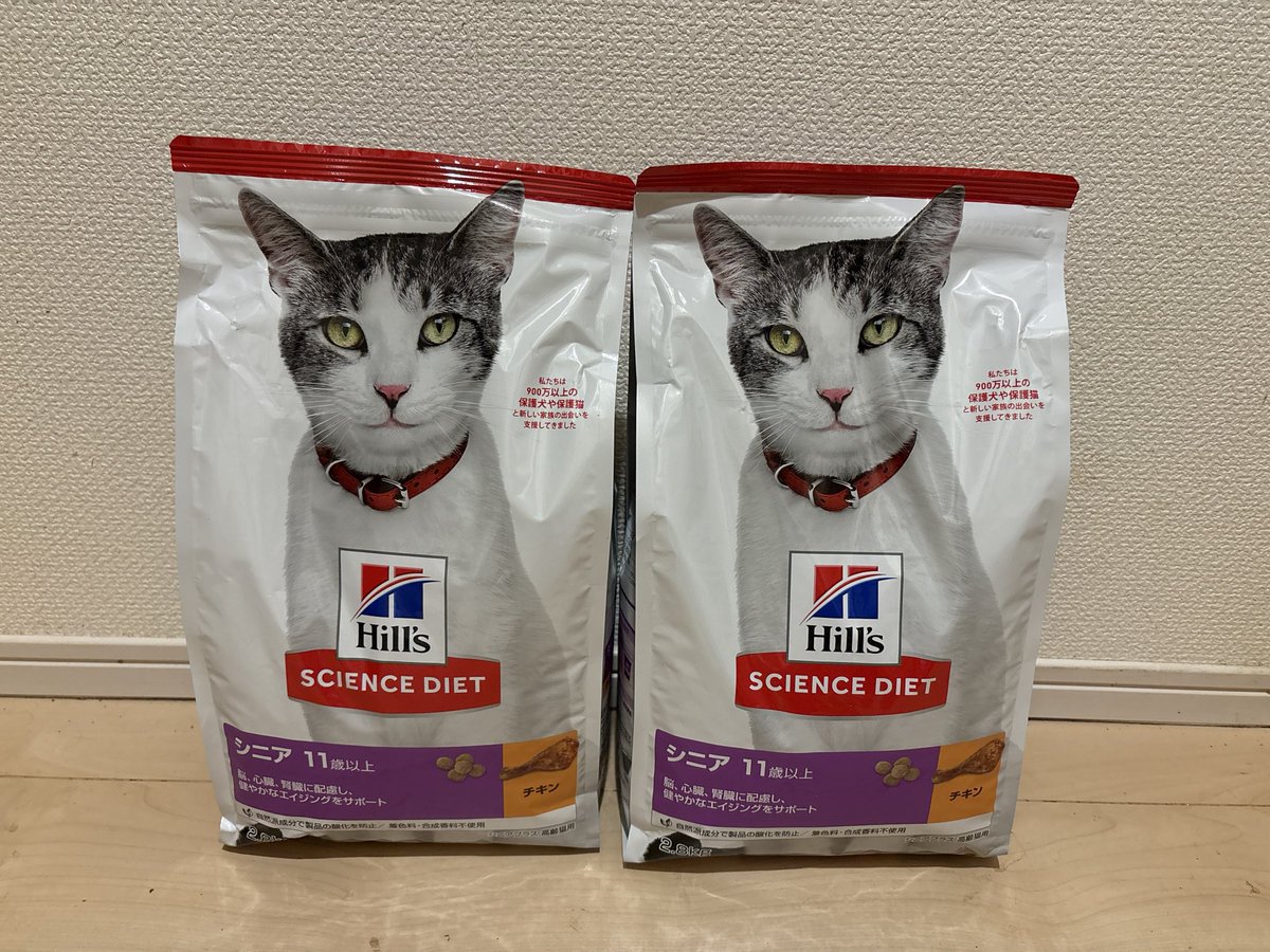 フードの寄付が2袋届いております。
とても助かります😭ありがとうございます🙇🏻‍♀️
引き続き猫砂やフードの寄付を募集しております。
Amazonほしい物リスト（x.gd/U0irJ）から応援いただけると助かります。