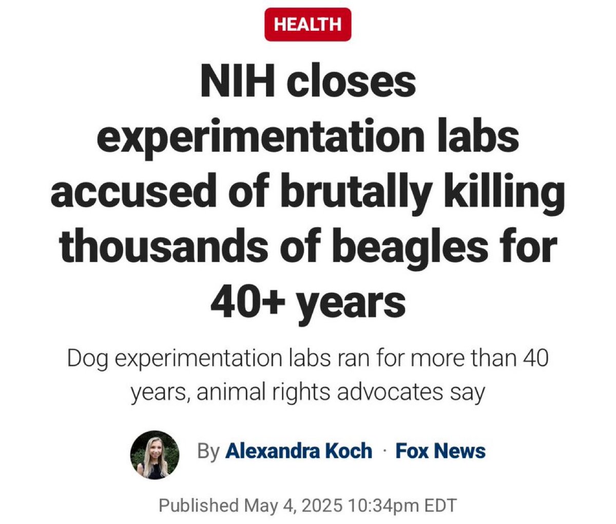 🚨#BREAKING: The National Institutes of Health has shut down research labs accused of conducting deadly experiments on thousands of beagles over the past 40+ years.