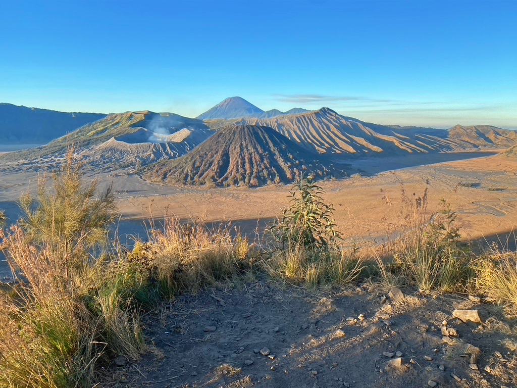 Transport Jogja tweet media