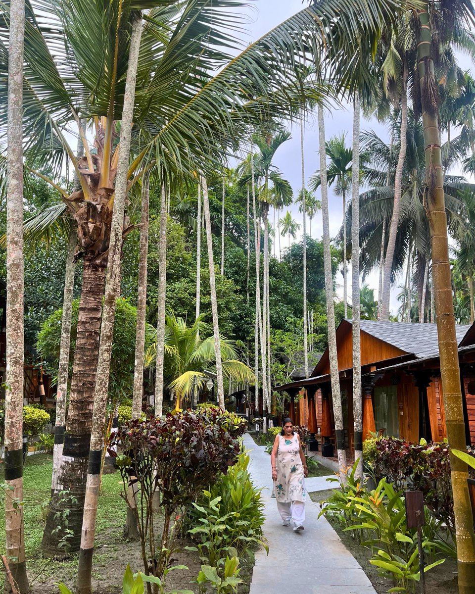 TSG_Resorts's tweet photo. Escape to paradise at TSG Blue Resort &amp; Spa, nestled in the heart of Havelock Island. 🌴✨
Surrounded by lush greenery and serene beaches, our resort is your perfect blend of nature, comfort, and island charm. 🌊🌿

Experience the soul of the Andamans with TSG Blue!

#TSGBlue https://t.co/sPvDo1WTb8