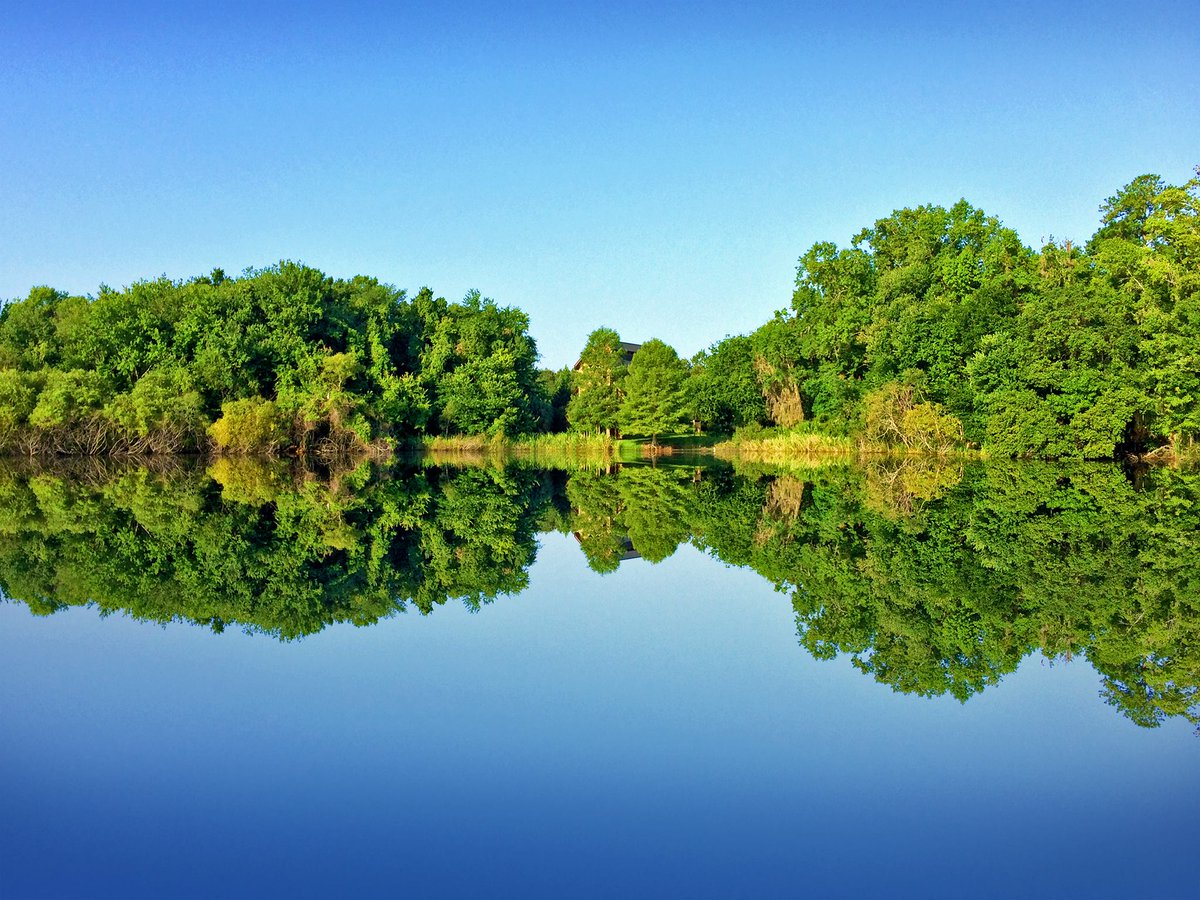 StadiumClubUF's tweet photo. Beautiful scenery from our neck of the woods. #Gainesville https://t.co/ca8x2oQcz7