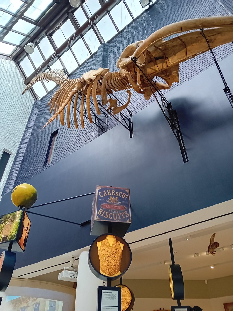 Enjoyed our visit to the revamped and newly reopened <a href="/TullieCarlisle/">Tullie</a> this weekend. The new space is great and really does make a massive difference