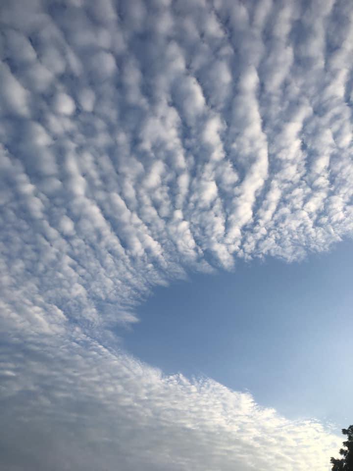 vinayverma99's tweet image. I see you smile across the phone And feel the moisture of your hair. And smell the musk of your cologne ,,, Hello ? Is anybody there ? #VikramSeth