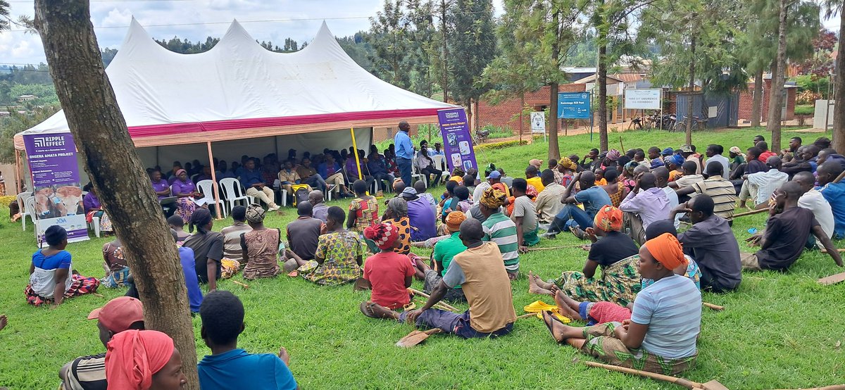 Rwimbogo Sector (@rwimbogo_secto) on Twitter photo Ku bufatanye na <a href="/RippleEffectNGO/">Ripple Effect</a> mu mushinga wa Ongera amata hatangijwe ku mugaragaro igikorwa cy' ubukangurambaga ku bworozi bw' Inka z' ubwoko bwa Jersey zizwiho ku gutanga umukamo mwinshi Kandi zariye bike zikaba zidakunze no kurwaragurika.<a href="/GatsiboDistrict/">Gatsibo District</a> <a href="/RwandaLocalGov/">Ministry of Local Government | Rwanda</a> Ku bufatanye na <a href="/RippleEffectNGO/">Ripple Effect</a> mu mushinga wa Ongera amata hatangijwe ku mugaragaro igikorwa cy' ubukangurambaga ku bworozi bw' Inka z' ubwoko bwa Jersey zizwiho ku gutanga umukamo mwinshi Kandi zariye bike zikaba zidakunze no kurwaragurika.<a href="/GatsiboDistrict/">Gatsibo District</a> <a href="/RwandaLocalGov/">Ministry of Local Government | Rwanda</a>