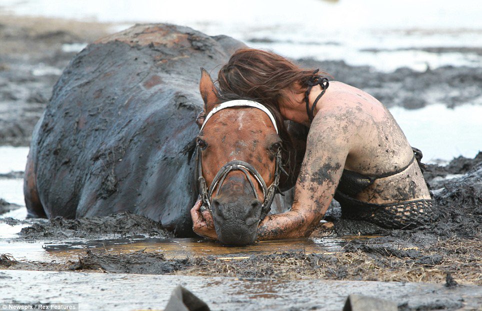 creepydotorg's tweet photo. A young woman stayed with her horse for three hours, holding his head above water to keep him from drowning after they got trapped in mud. https://t.co/i7WWtzC1lL
