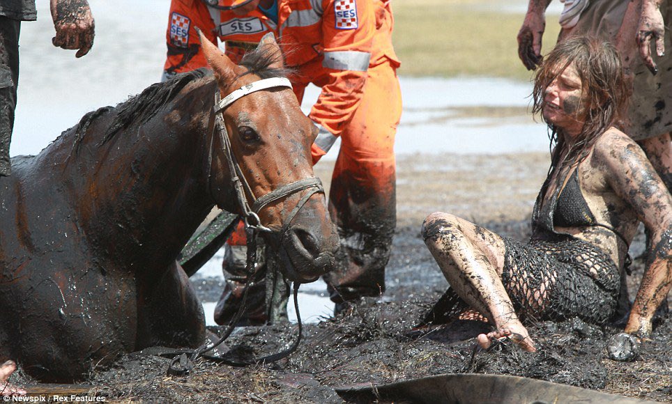 creepydotorg's tweet photo. A young woman stayed with her horse for three hours, holding his head above water to keep him from drowning after they got trapped in mud. https://t.co/i7WWtzC1lL