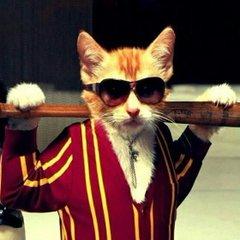 catsalpha90's tweet photo. 🚀 The ALPHA CATS have entered the meme coin universe! 📷It’s time to #HODL the purr-fect coin and join the #AlphaCats. Get ready for wild gains, epic memes, and a community that’s just getting started.  #Crypto #MemeCoin #DeFi #CryptoCommunity #MemecoinArmy #AlphaCats #pumpfun https://t.co/CaN1PHf1gz
