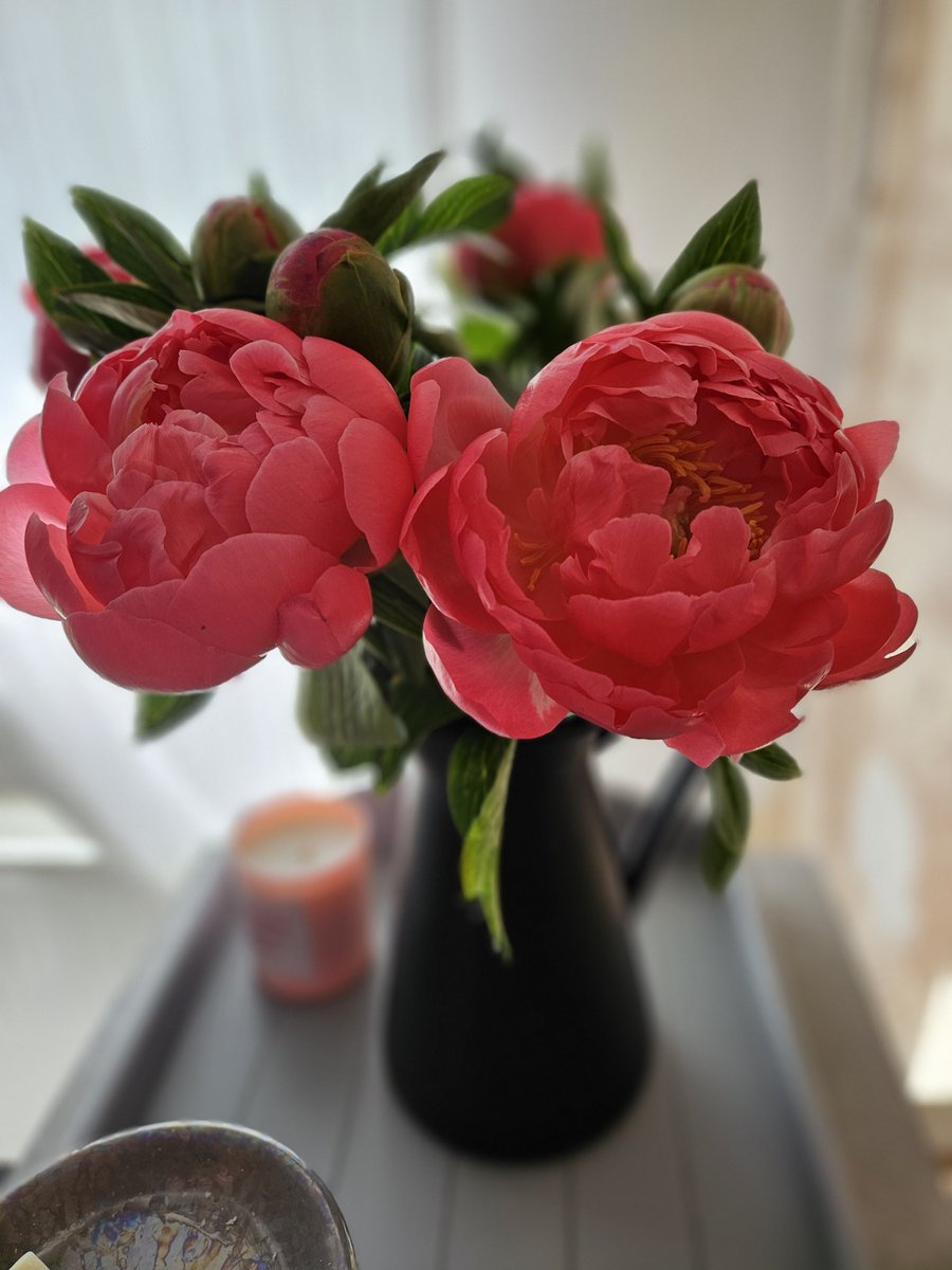 It's peony season....how beautiful are these from <a href="/marksandspencer/">M&S</a> 💐 🌹 🌸