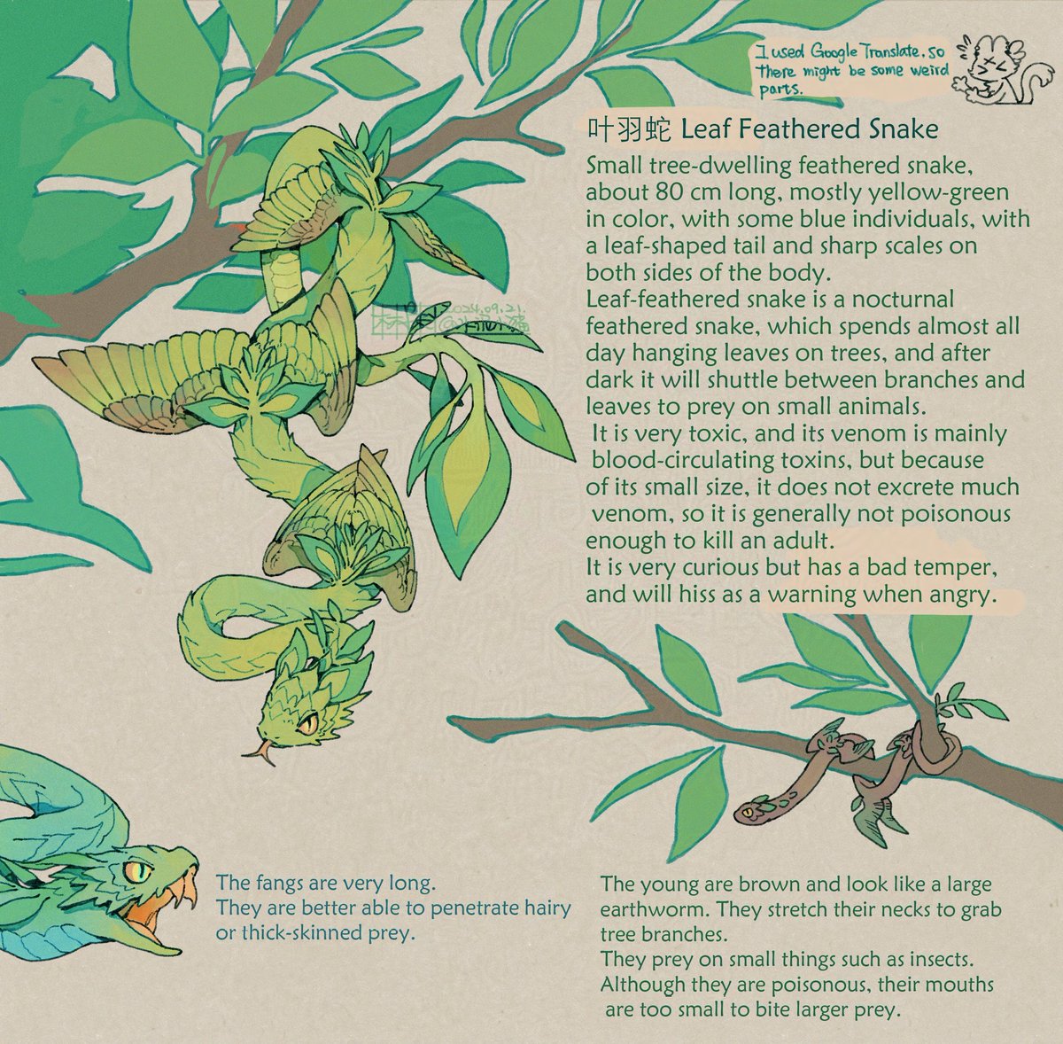 Translations of past designs