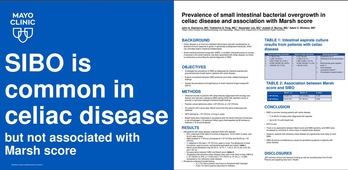 John Damianos, M.D. (@john_damianosmd) on Twitter photo We found that #SIBO is common in #celiac disease.
🦠17.6% at 10^5, 49.6% at 10^3, 23.1% on breath test
🦠even higher in refractory CD: 36.8% and 78.9% (aspirates) 
Come learn more TODAY 12:30-1:30 at session Mo1414!
#MedTwitter #GITwitter We found that #SIBO is common in #celiac disease.
🦠17.6% at 10^5, 49.6% at 10^3, 23.1% on breath test
🦠even higher in refractory CD: 36.8% and 78.9% (aspirates) 
Come learn more TODAY 12:30-1:30 at session Mo1414!
#MedTwitter #GITwitter