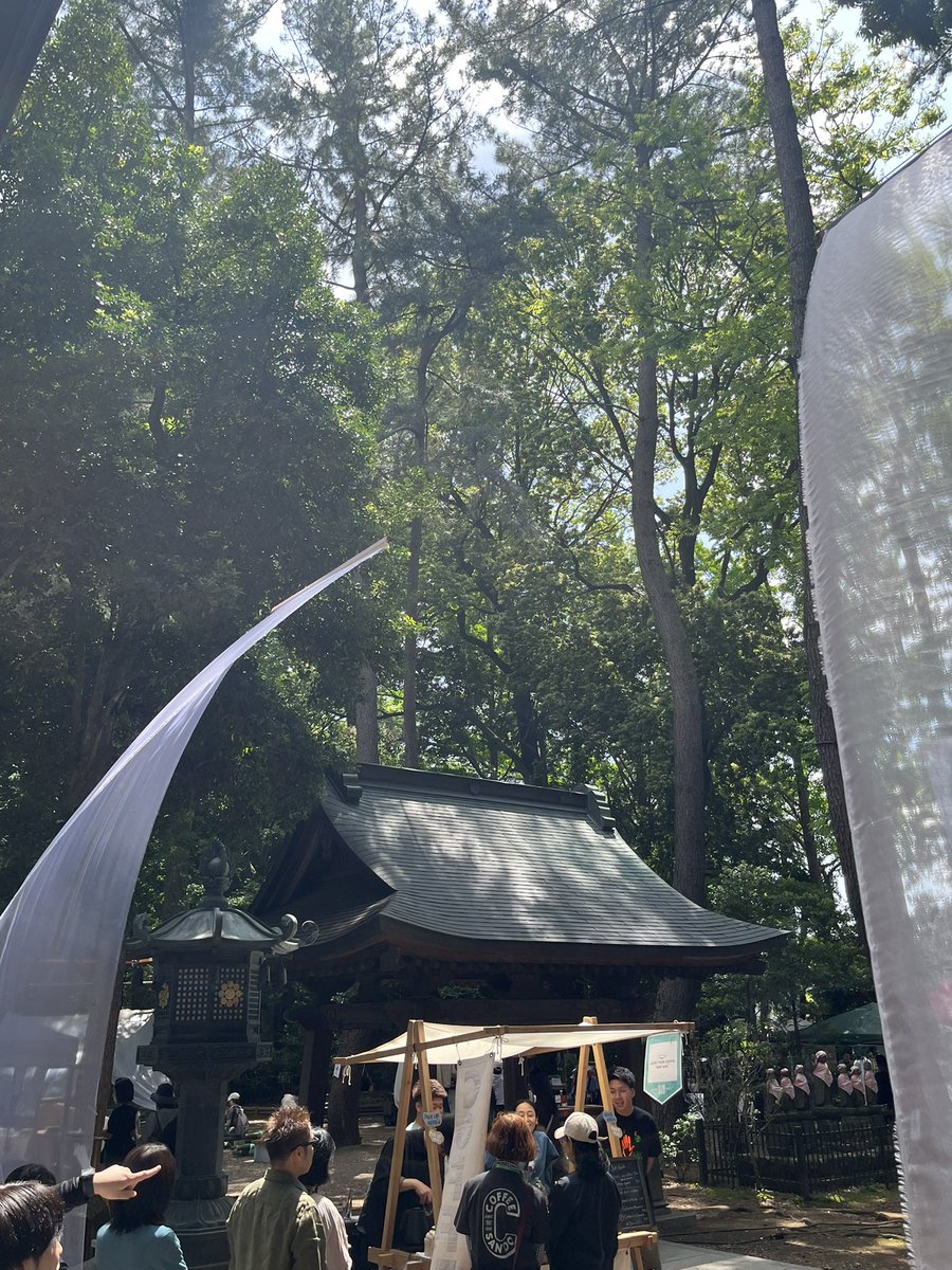 本日は珈琲参道2025に出演。
お寺の境内での演奏はなんだか背筋が伸びました。天気にも恵まれて、風が気持ちよかったなあ。

初めて訪れた狛江は温かい街でした。
chatoeを観てくださった皆さま、ありがとうございました！