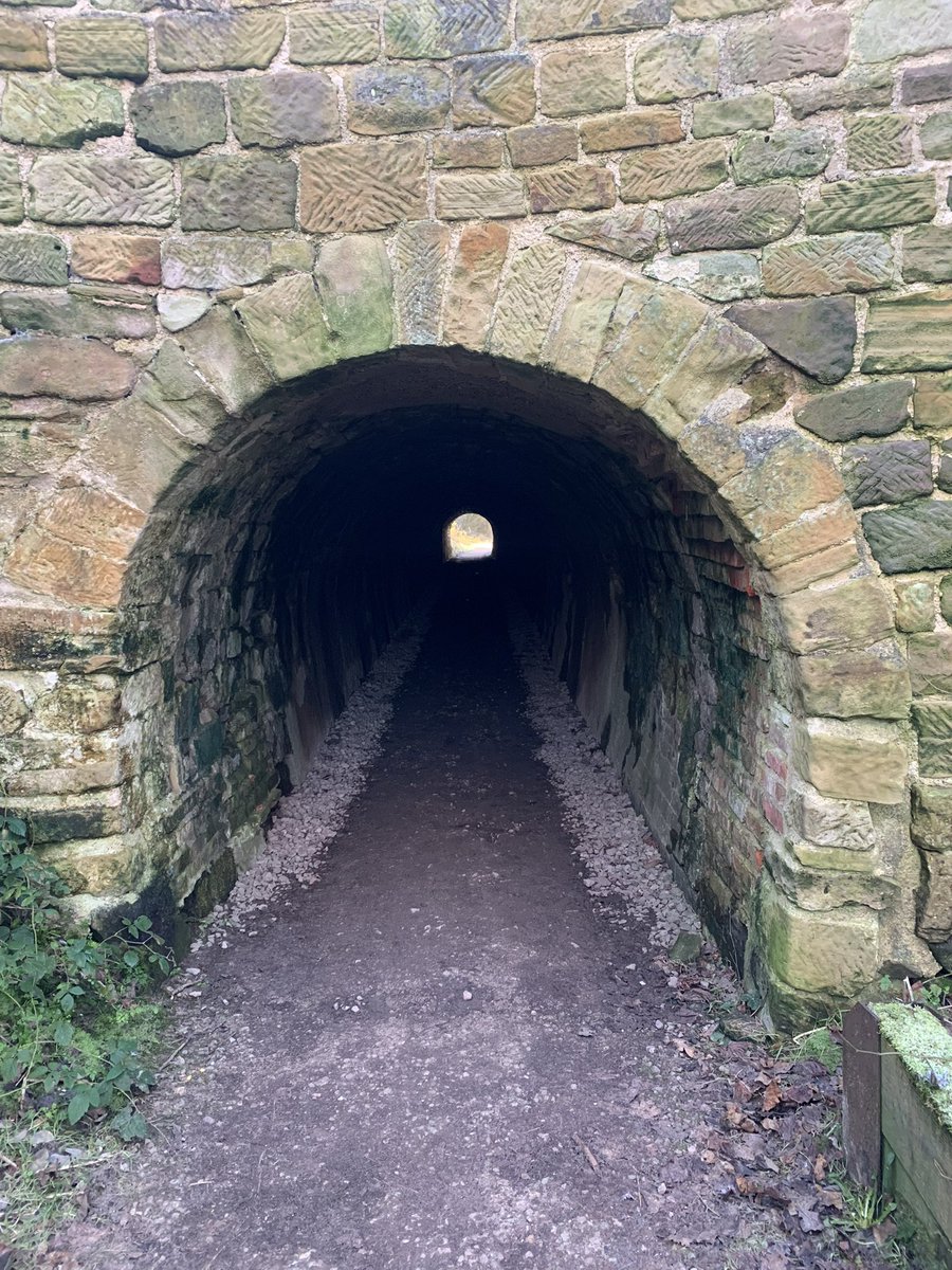 Neil Tracey (@neilmtracey) on Twitter photo 