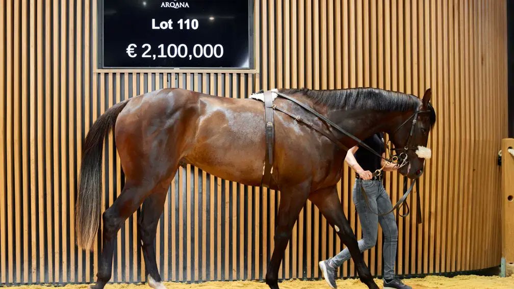 🏆 'It's an extreme honour' - a Kentucky family's pride over Ruling Court's British Classic

Tom Peacock speaks to Griffin Mayer of Nursery Place about breeding the 2,000 Guineas winner

Read with Racing Post+ 👉 bit.ly/42N9Zj2