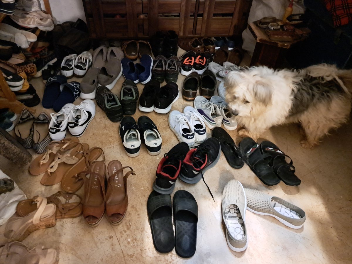 All my shoes accounted for
