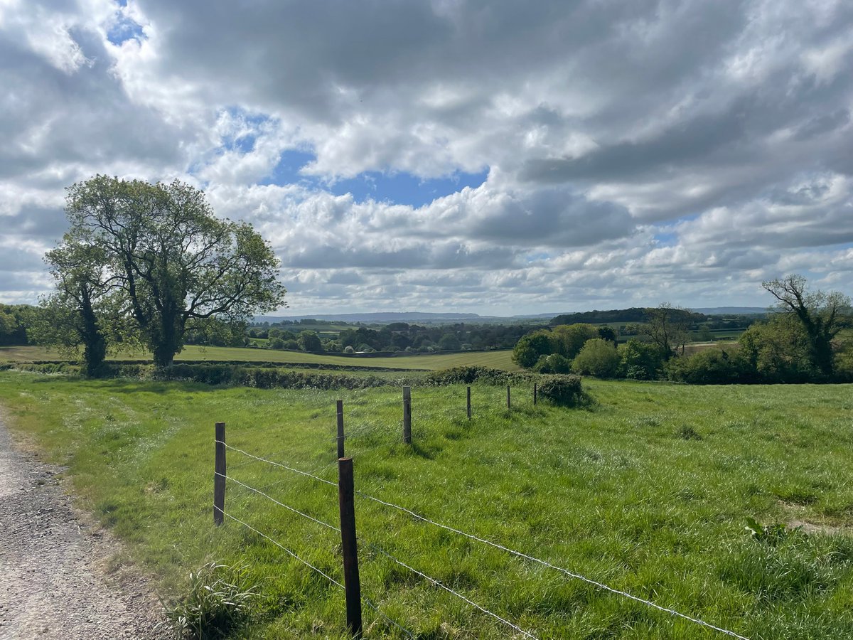 bobbicee's tweet image. And for those who have donated, I proved today that I will last the distance! 20K DONE! Not a great time, but with these views, can you blame me?